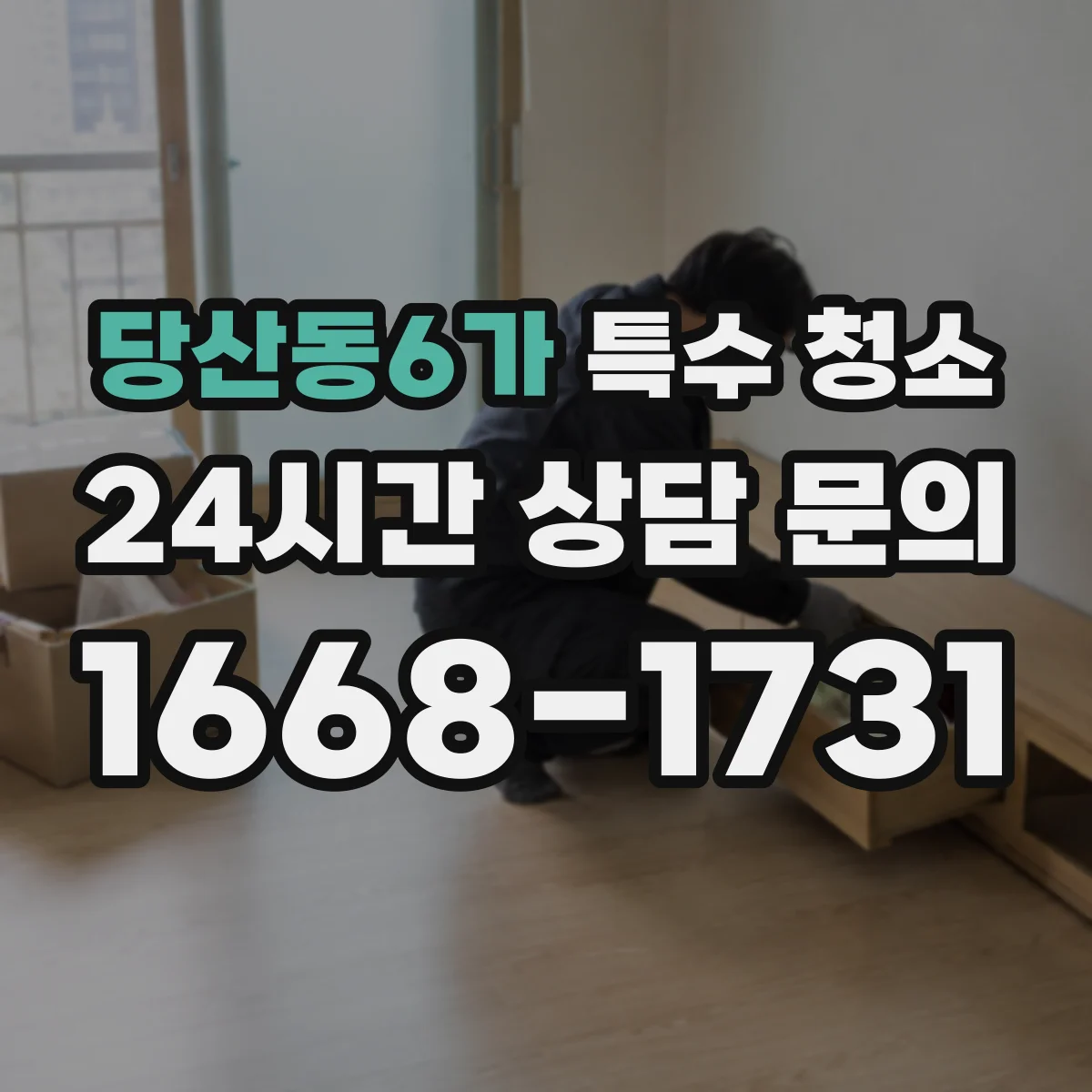 당산동6가 특수 청소