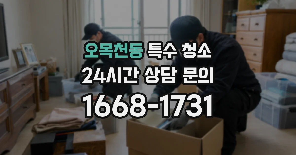 오목천동 특수 청소