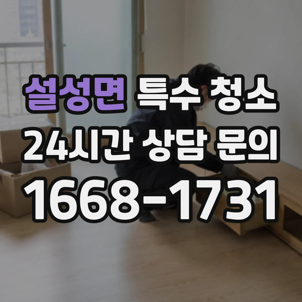 설성면 특수 청소