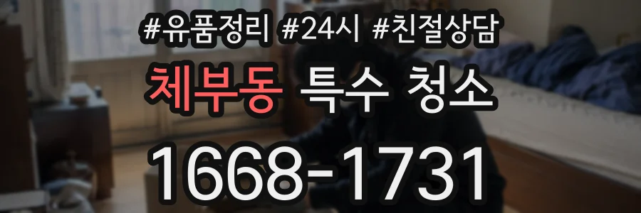체부동 특수 청소