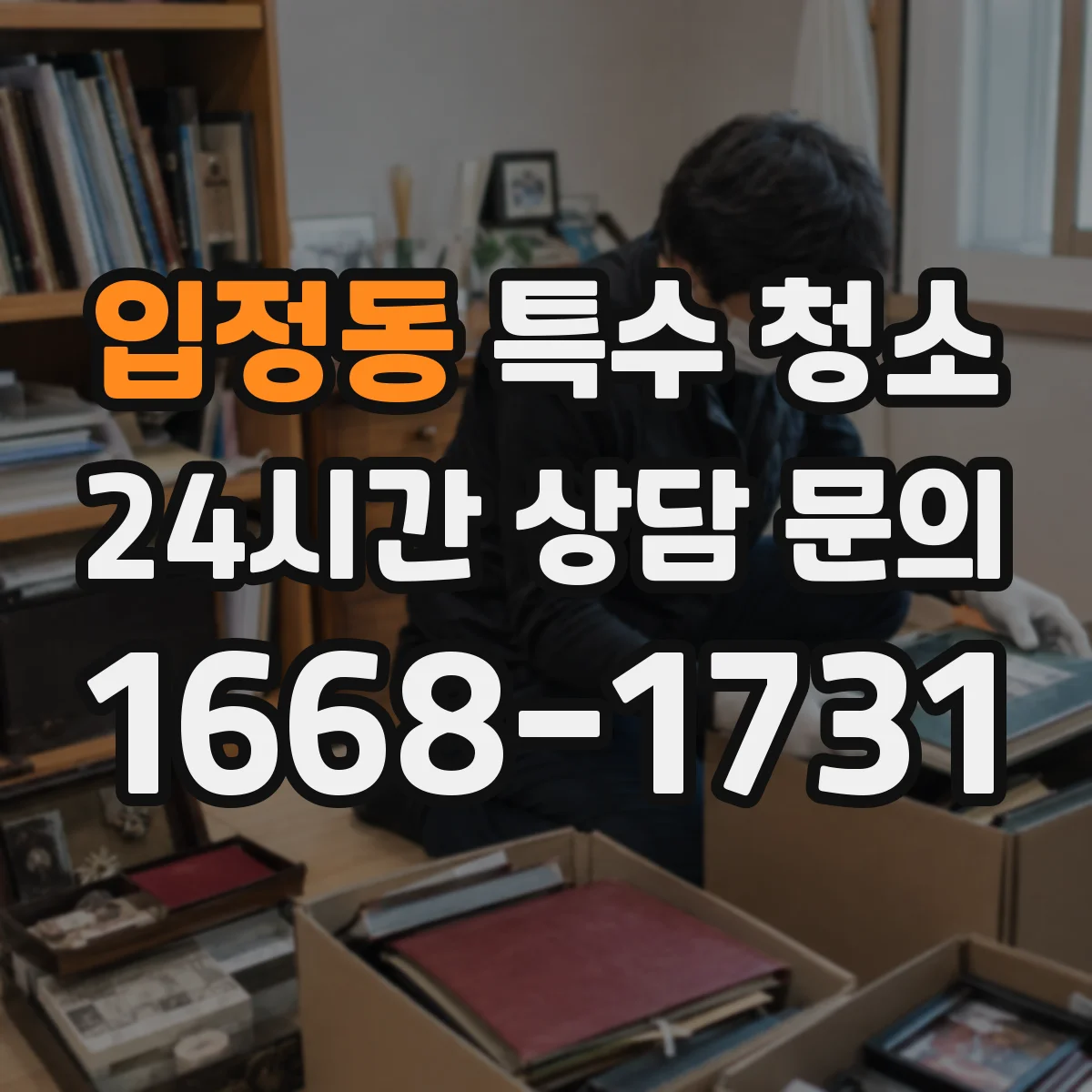 입정동 특수 청소