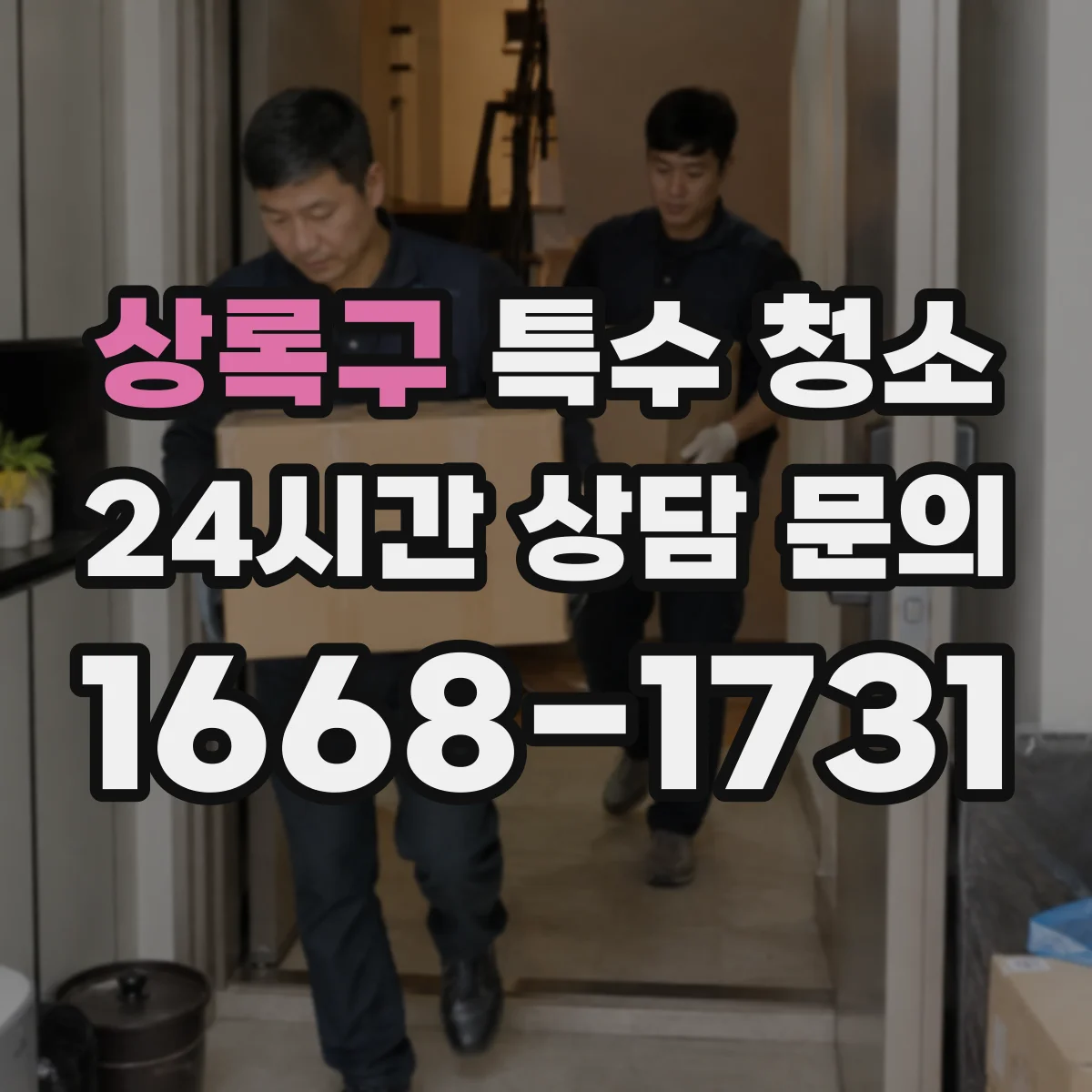 상록구 특수 청소