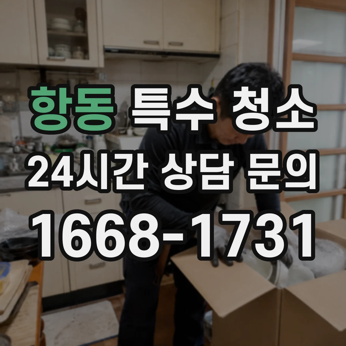 항동 특수 청소