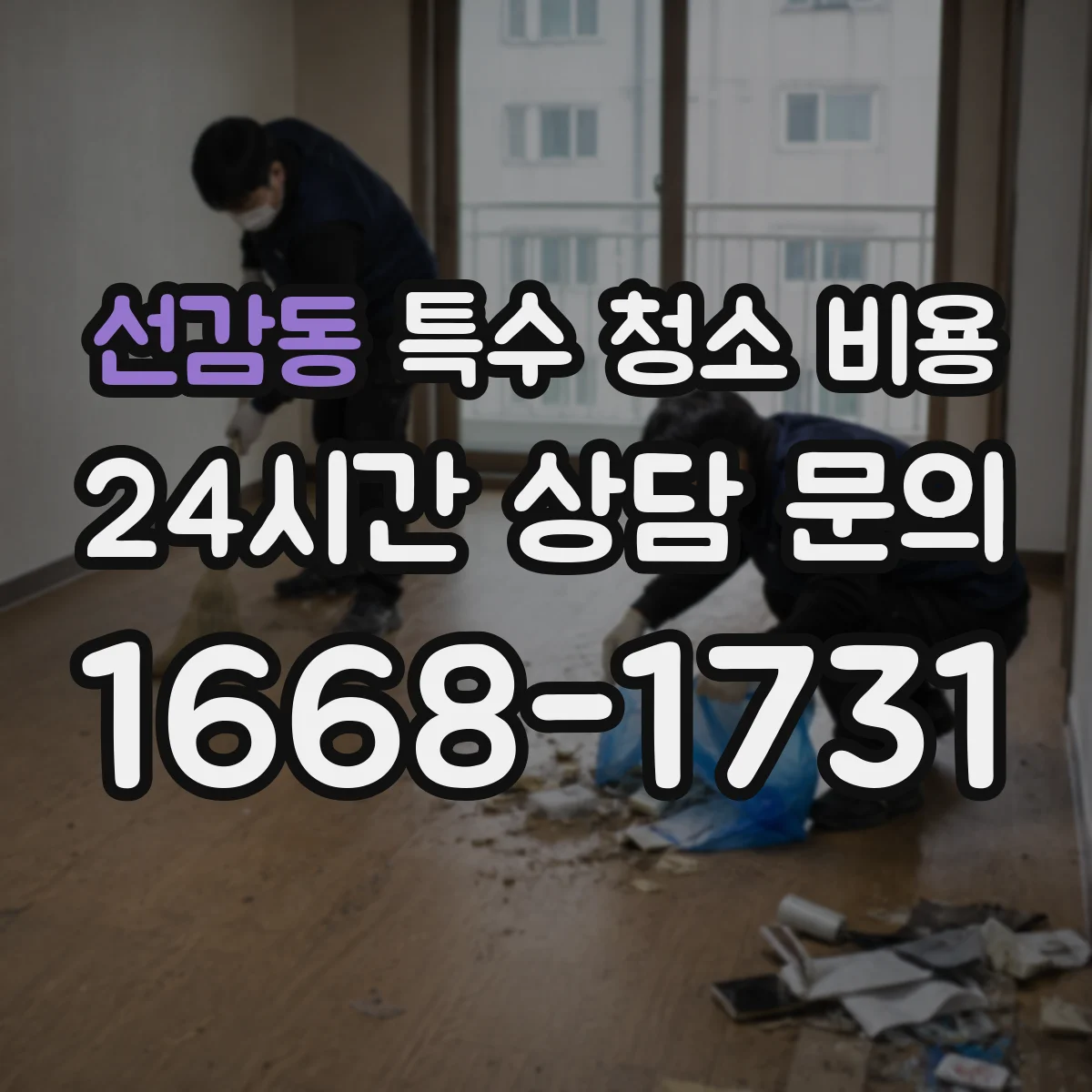 선감동 특수 청소 비용