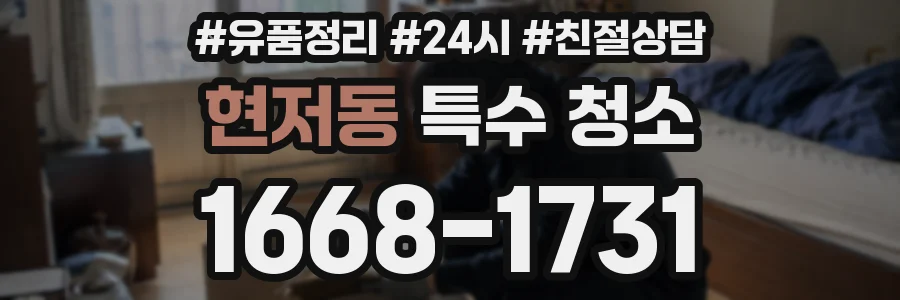 현저동 특수 청소