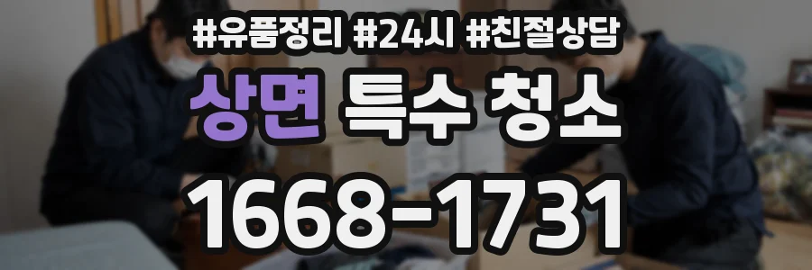 상면 특수 청소