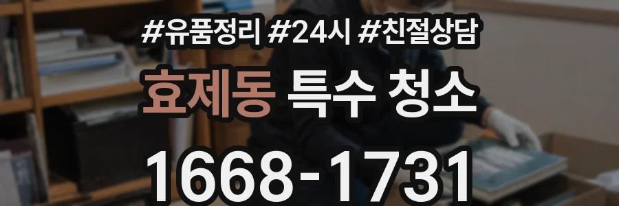 효제동 특수 청소