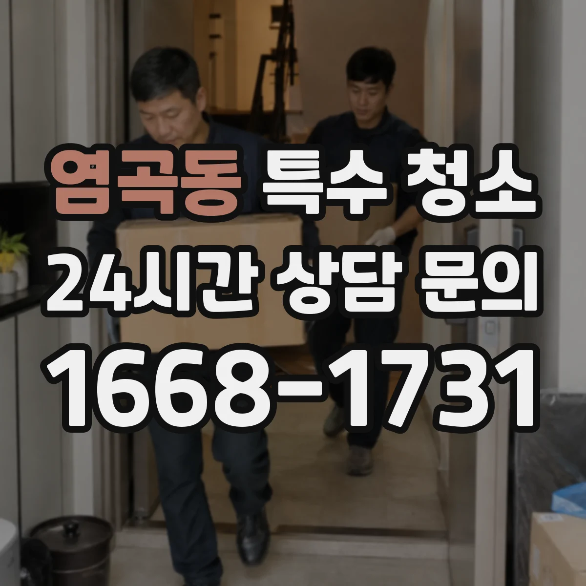 염곡동 특수 청소