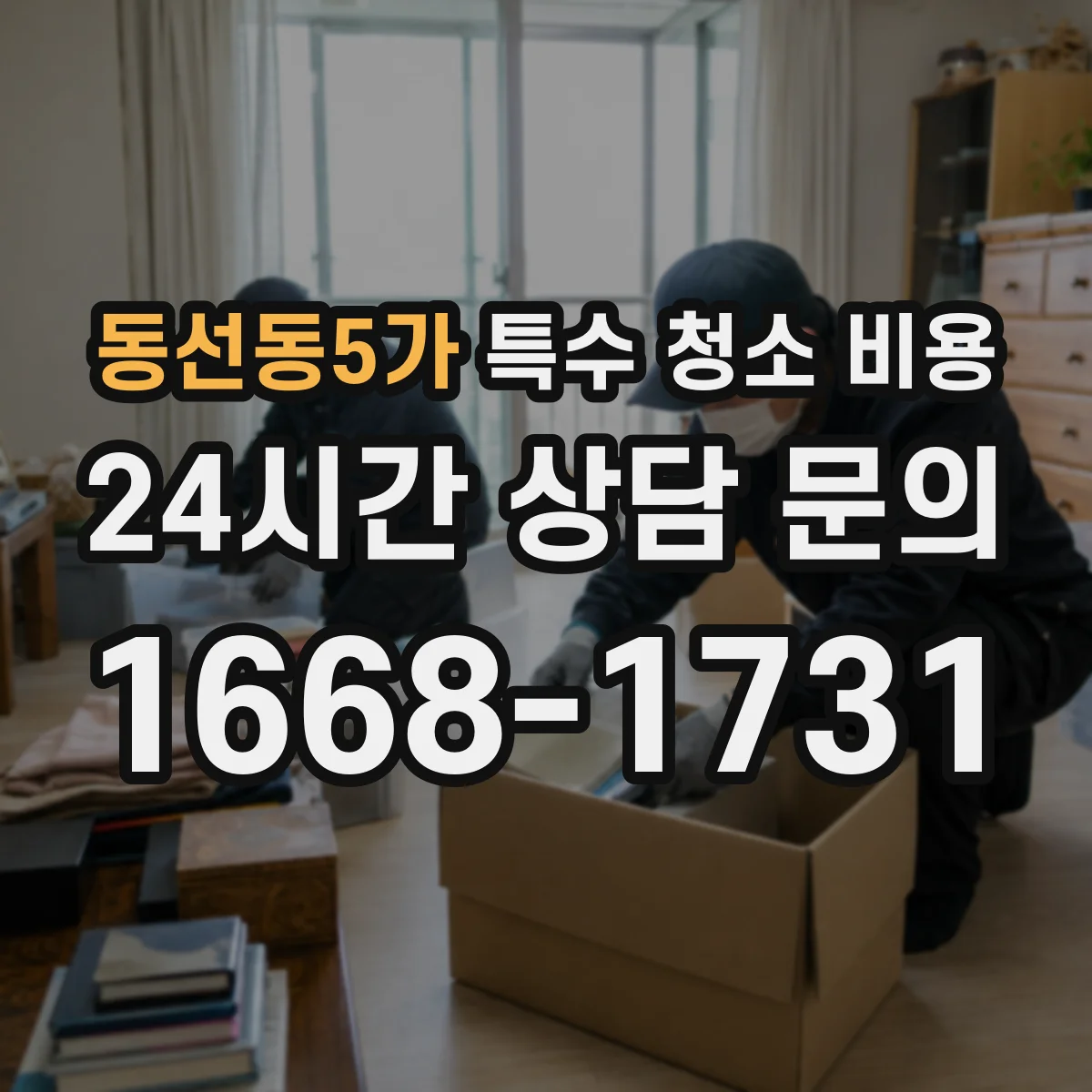 동선동5가 특수 청소 비용