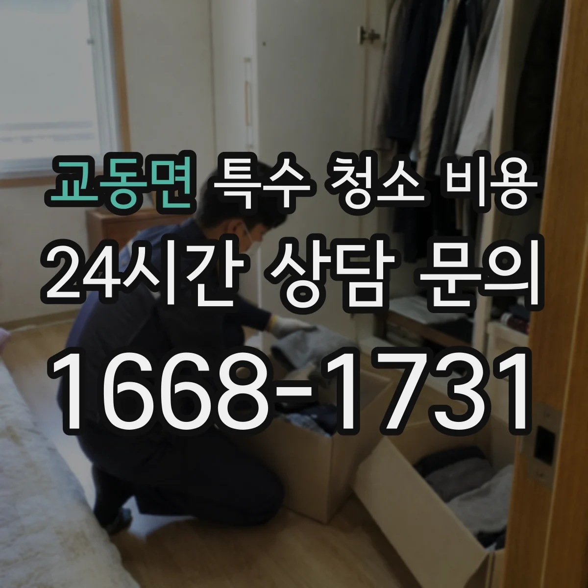 교동면 특수 청소 비용