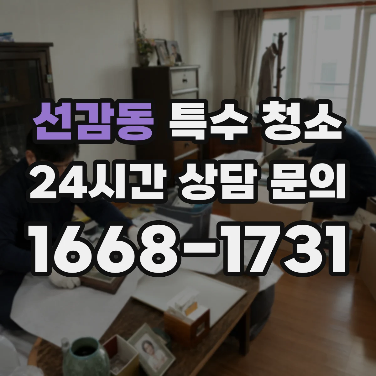 선감동 특수 청소
