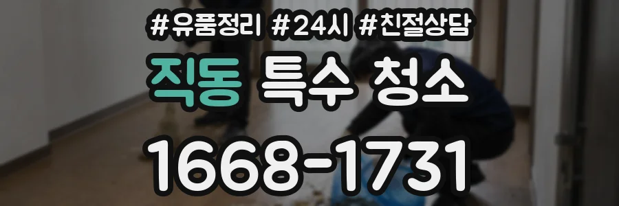 직동 특수 청소
