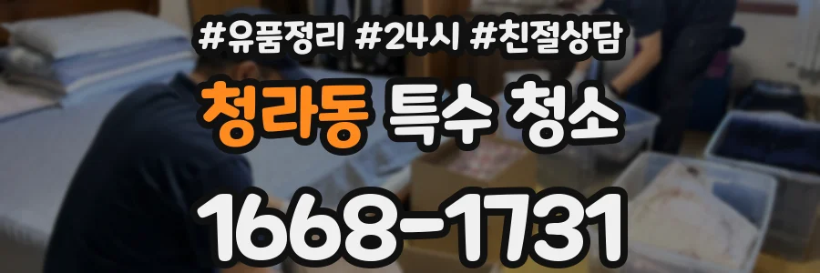 청라동 특수 청소