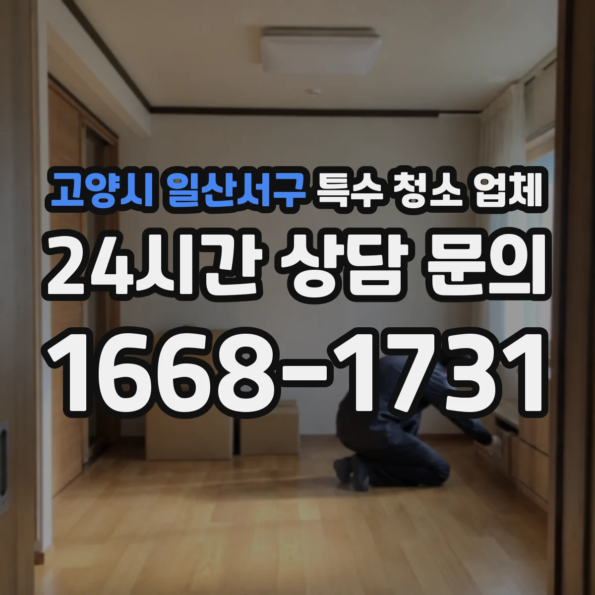 고양시 일산서구 특수 청소 업체