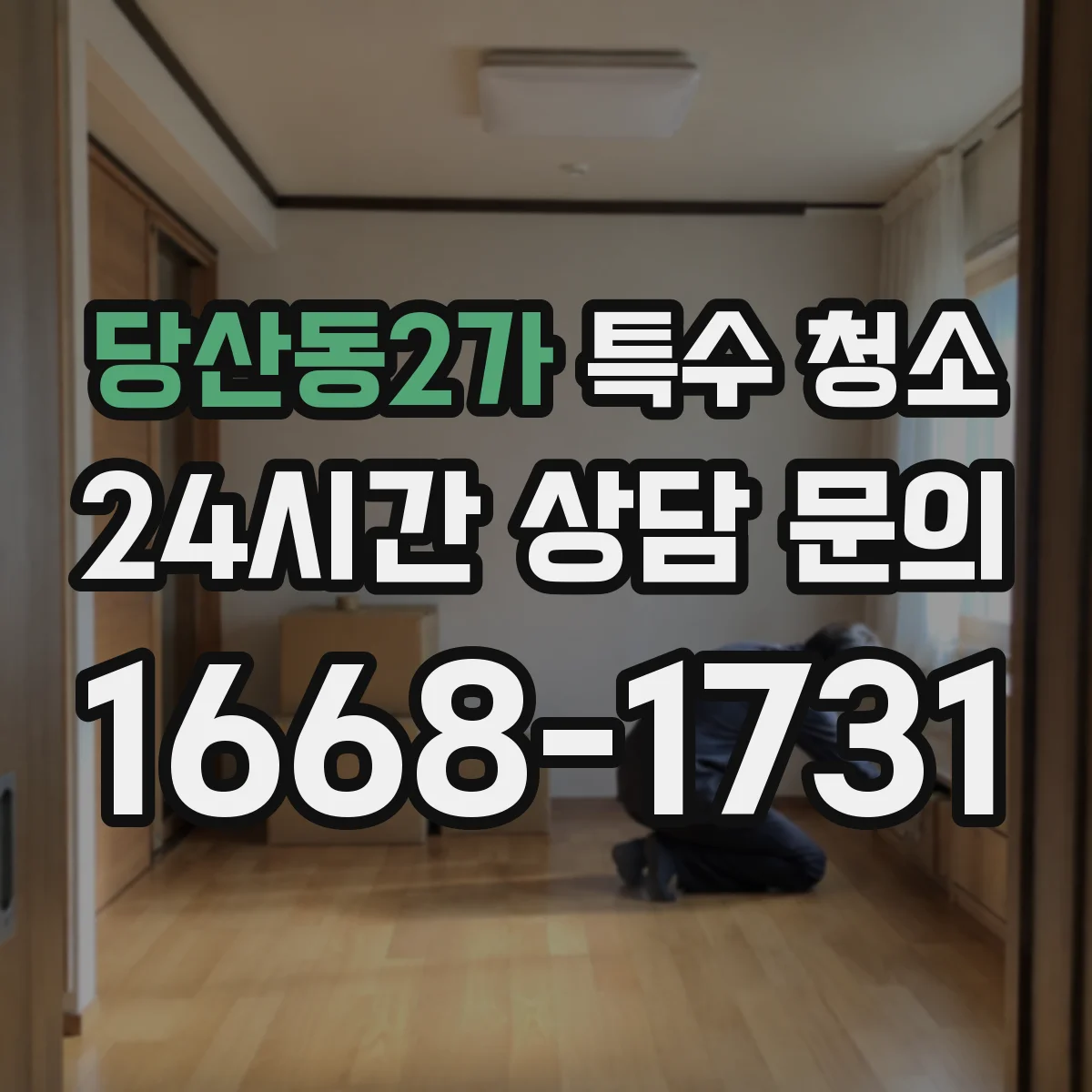 당산동2가 특수 청소