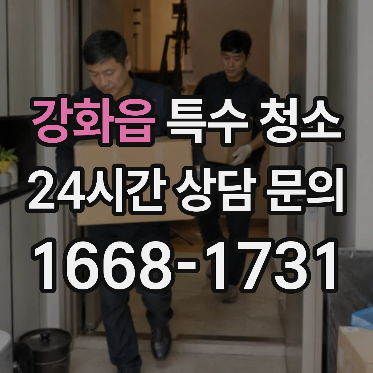 강화읍 특수 청소