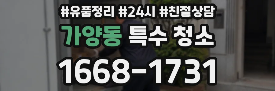 가양동 특수 청소