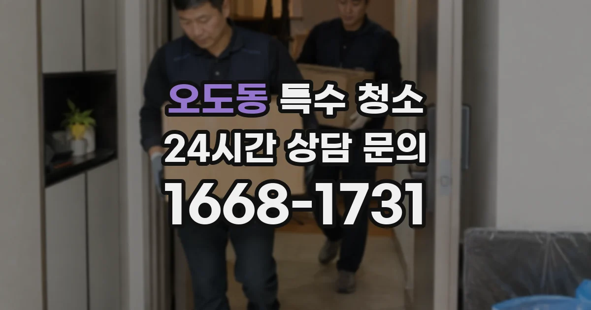 오도동 특수 청소