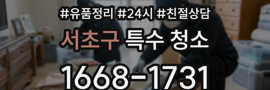서초구 특수 청소