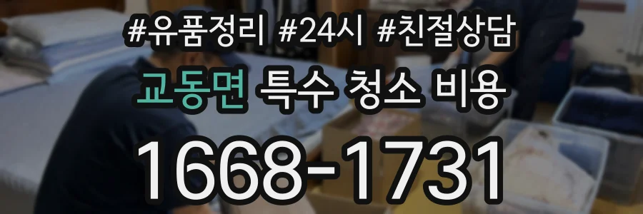 교동면 특수 청소 비용