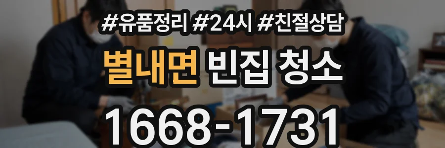 별내면 빈집 청소