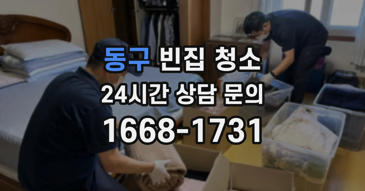 동구 빈집 청소