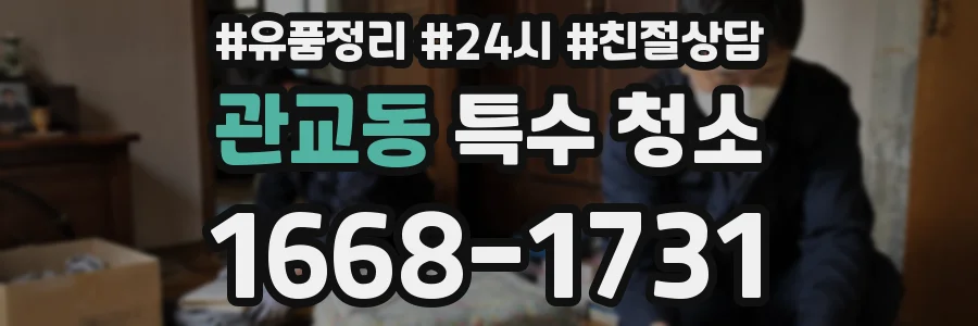 관교동 특수 청소
