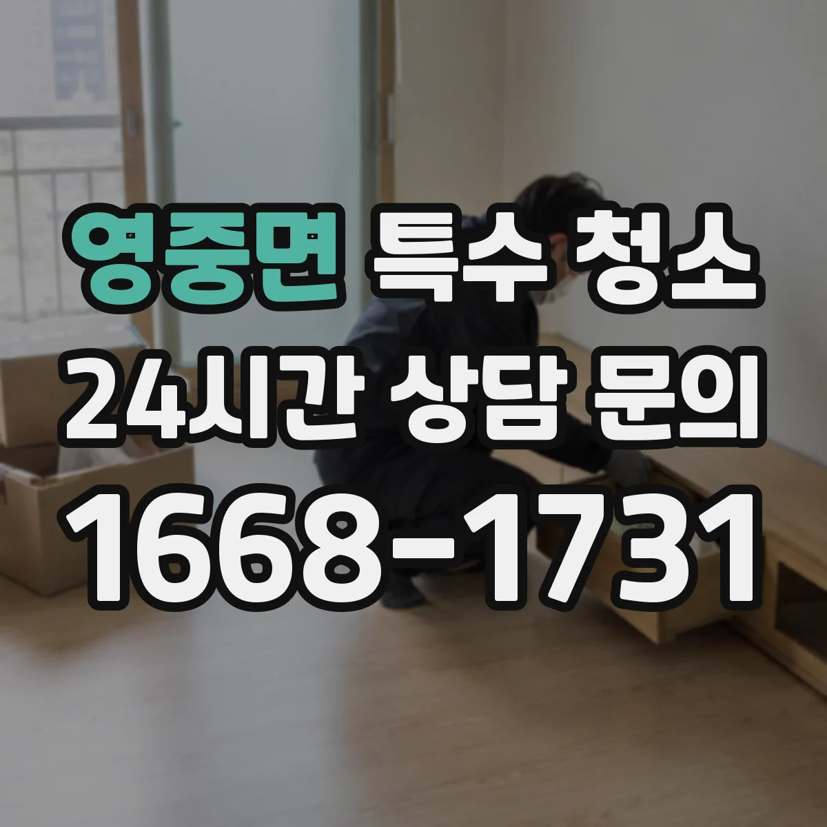 영중면 특수 청소