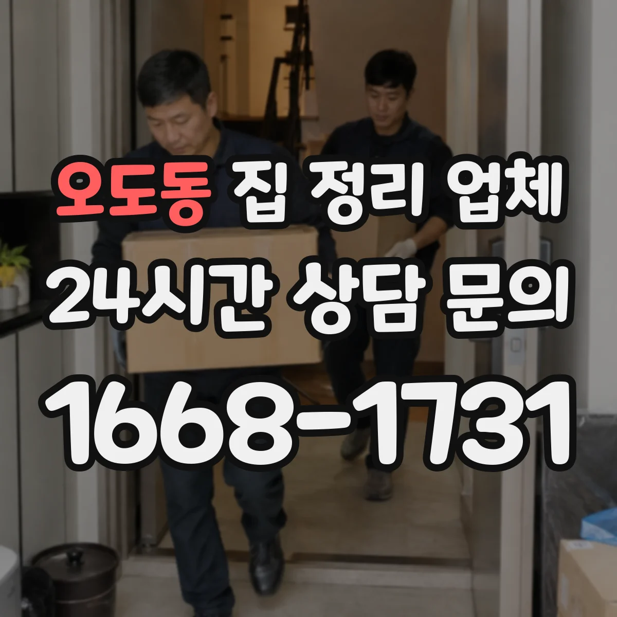 오도동 집 정리 업체