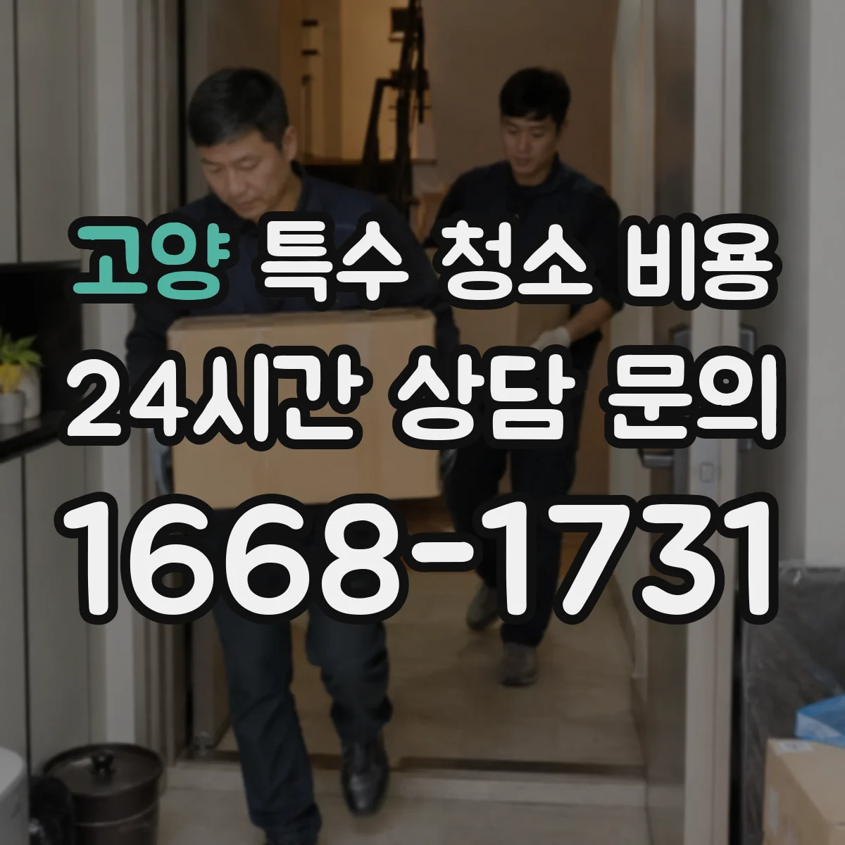 고양 특수 청소 비용 청소 전후 이미지 제출 후 평균 견적 범위