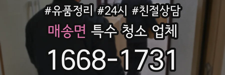 매송면 특수 청소 업체