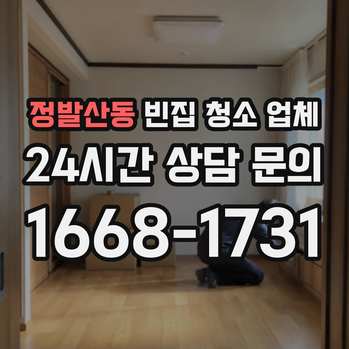 정발산동 빈집 청소 업체