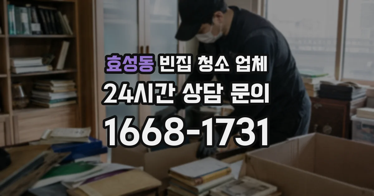 효성동 빈집 청소 업체