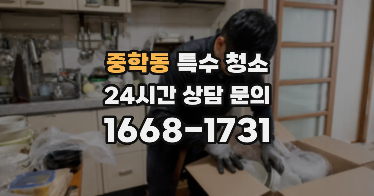 중학동 특수 청소