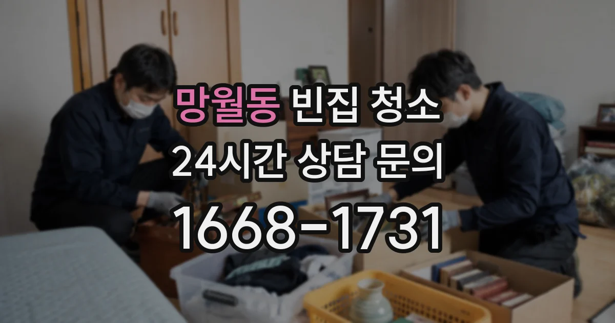 망월동 빈집 청소