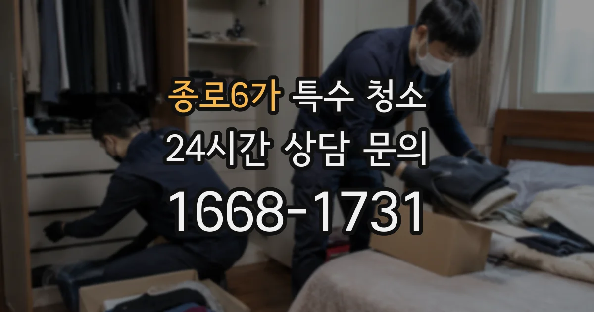 종로6가 특수 청소