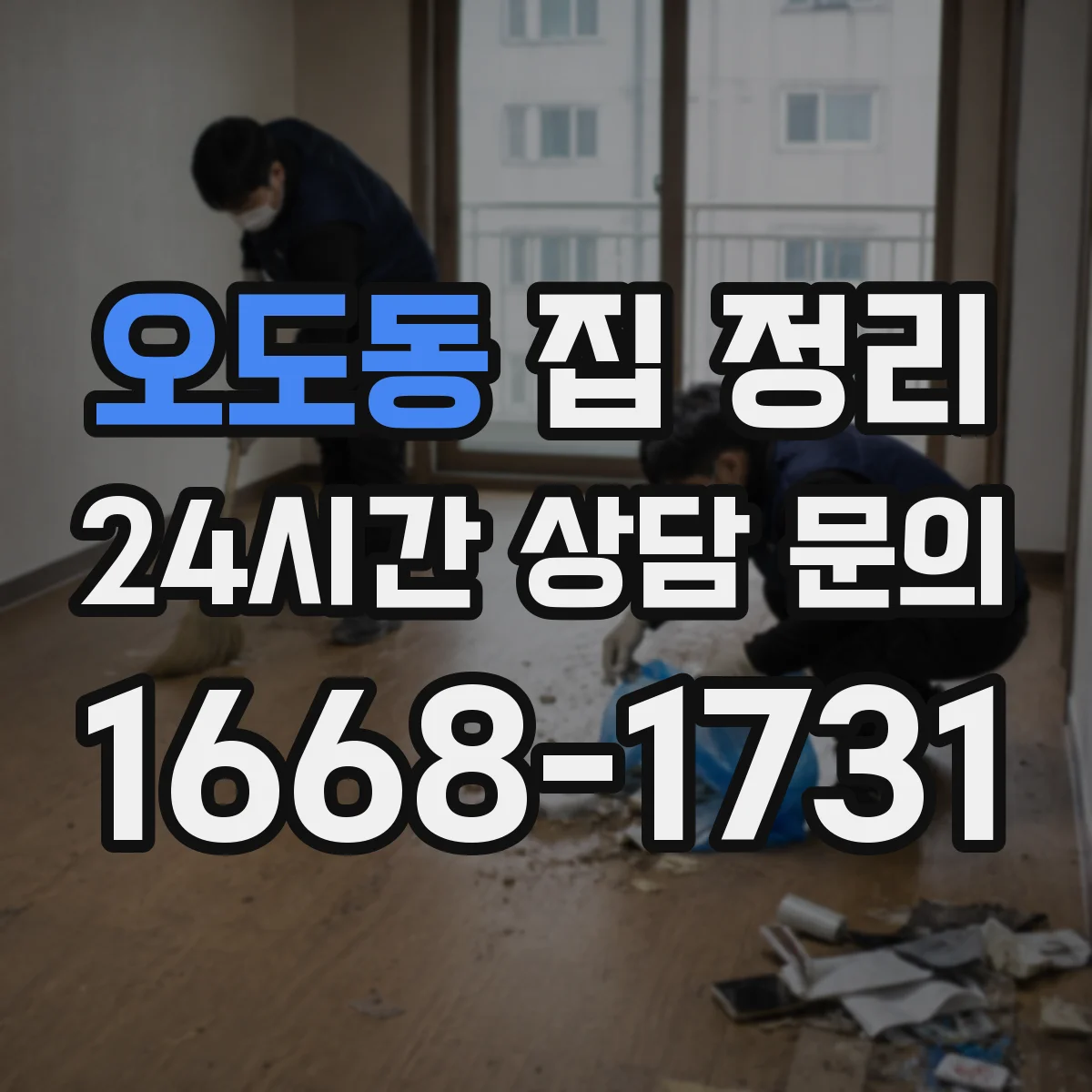 오도동 집 정리