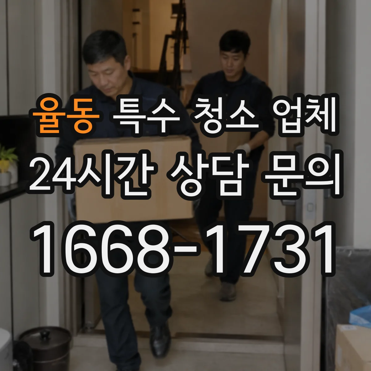 율동 특수 청소 업체
