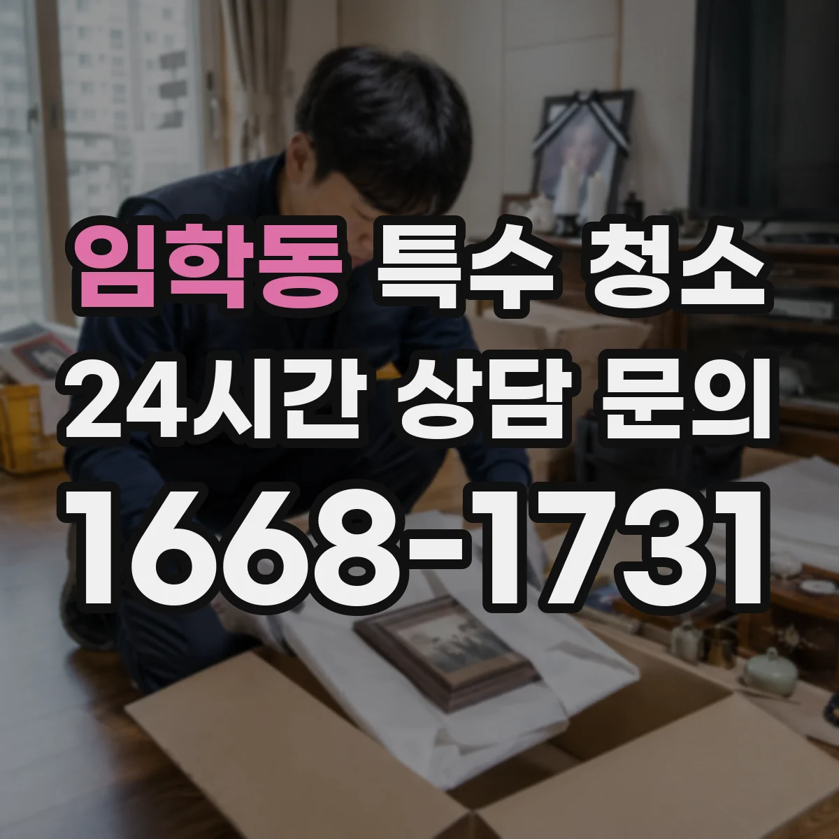 임학동 특수 청소
