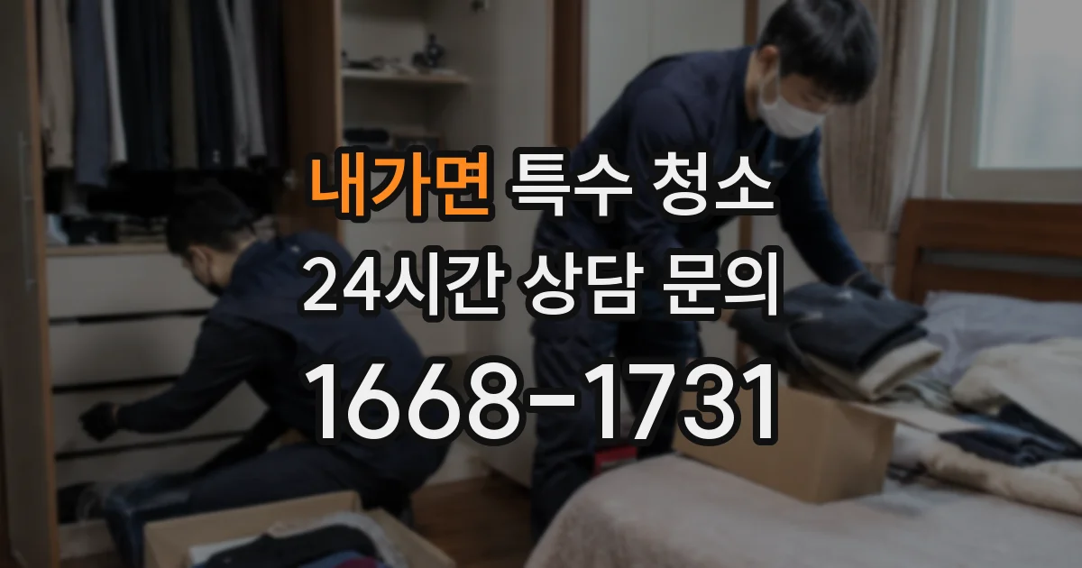 내가면 특수 청소
