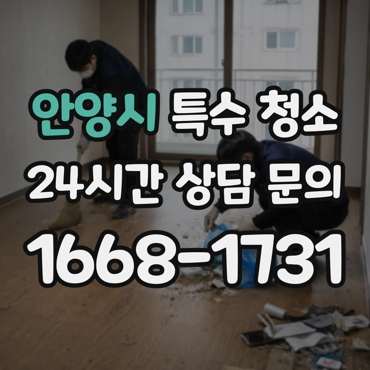 안양시 특수 청소
