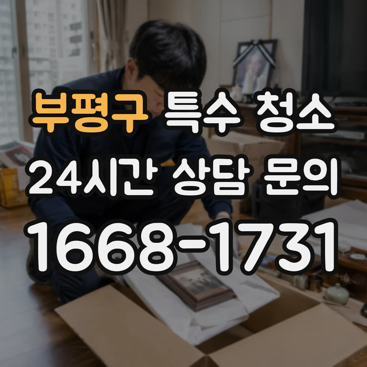 부평구 특수 청소