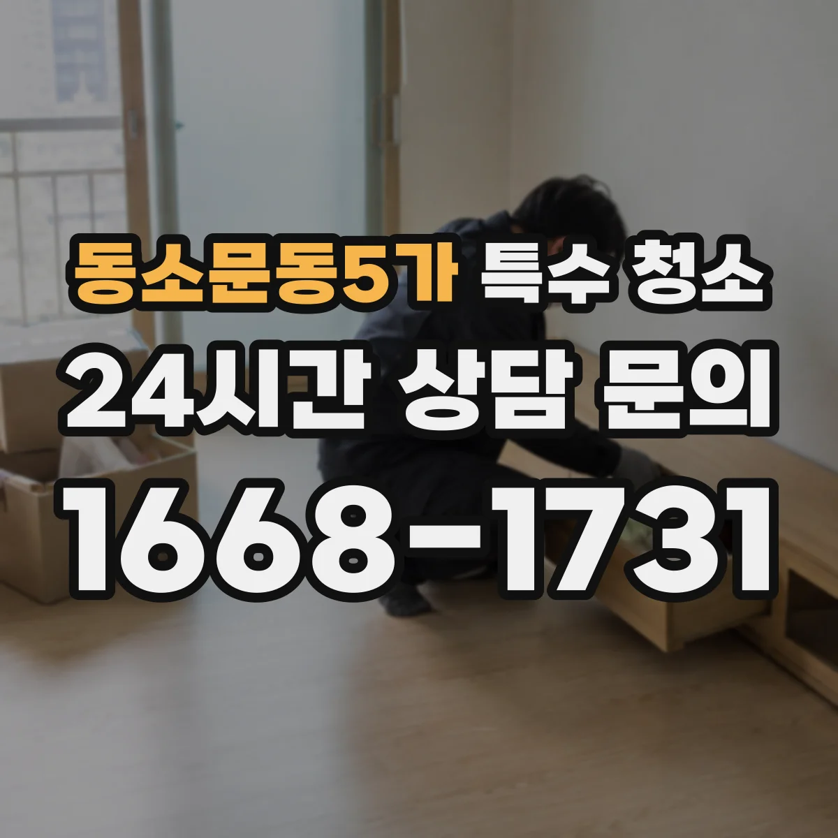 동소문동5가 특수 청소