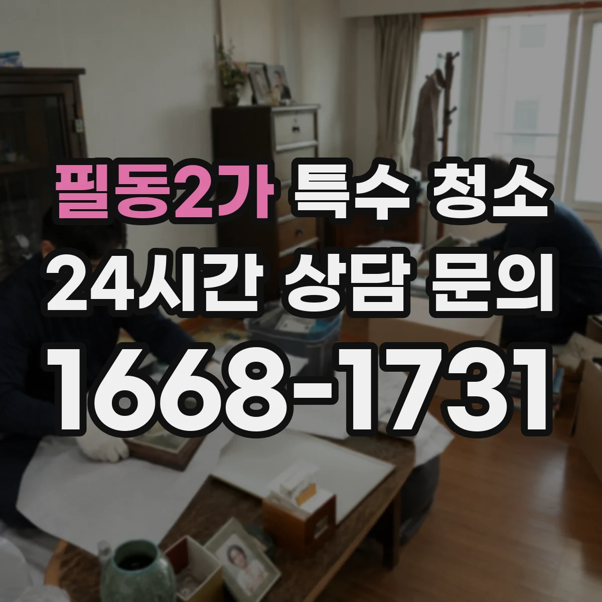 필동2가 특수 청소