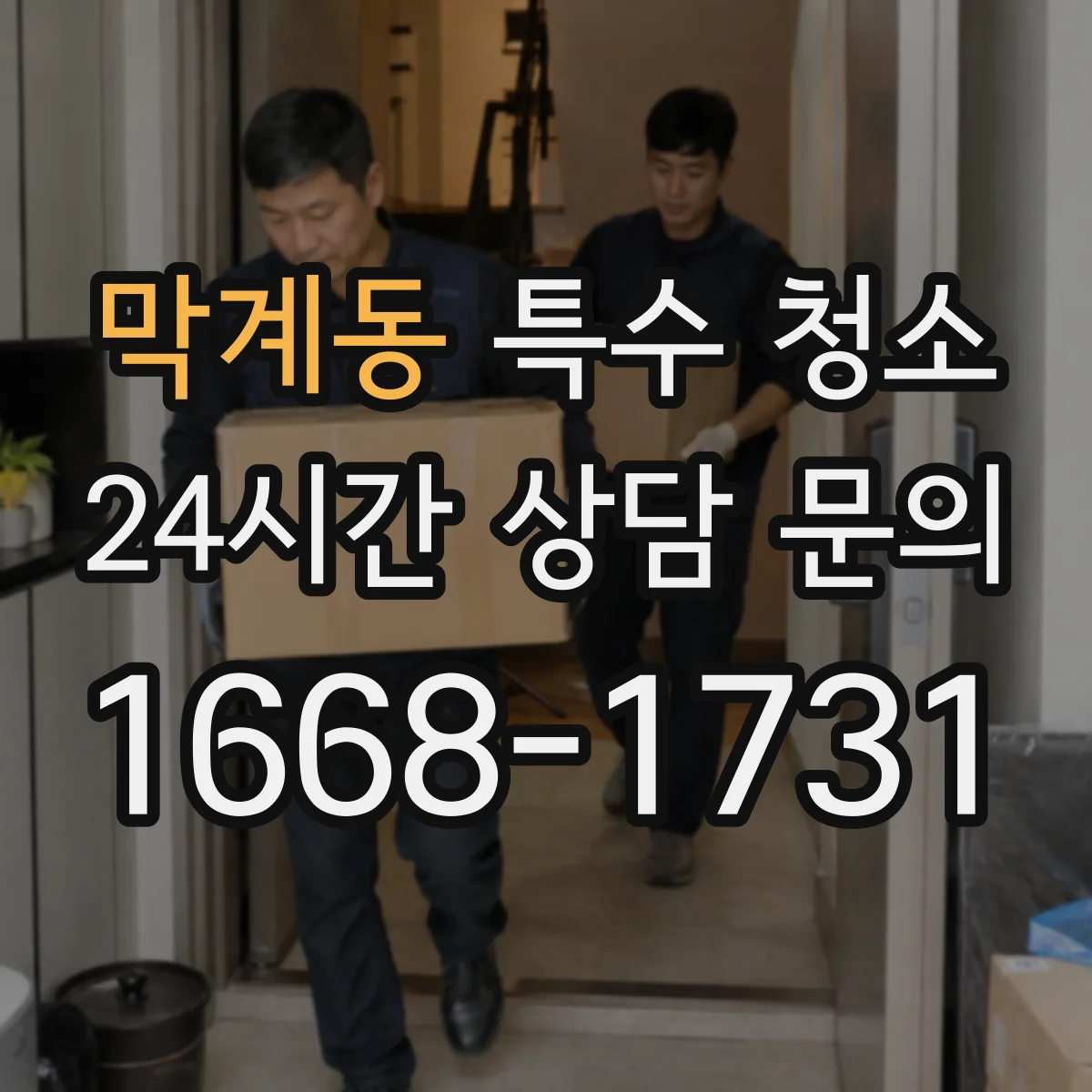 막계동 특수 청소