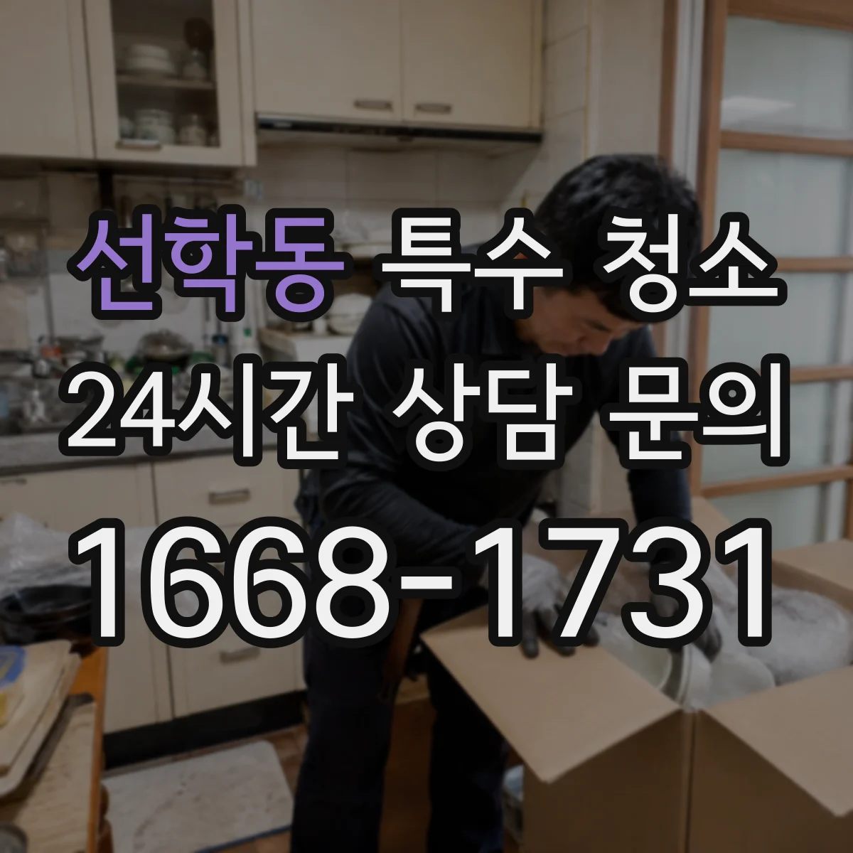 선학동 특수 청소