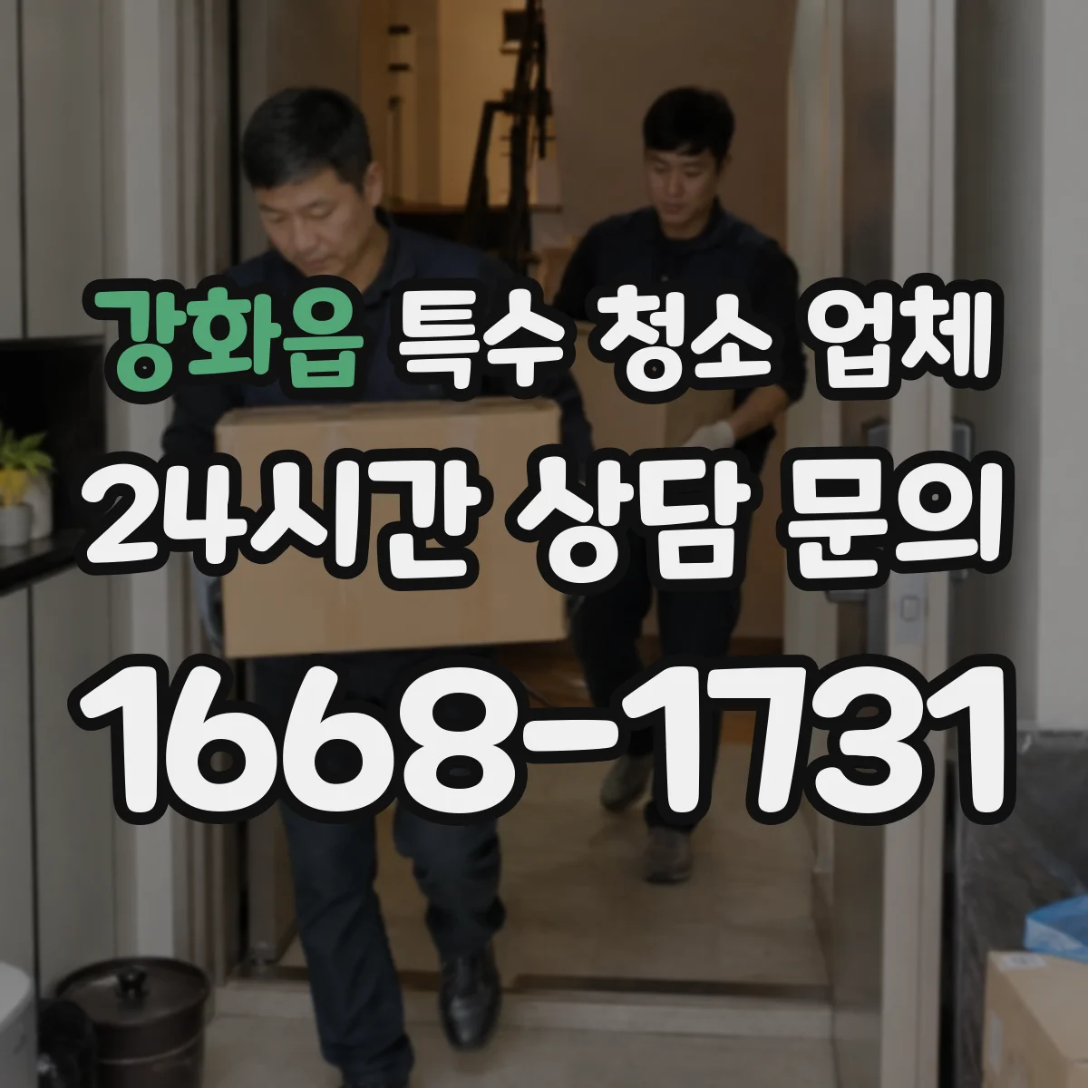 강화읍 특수 청소 업체