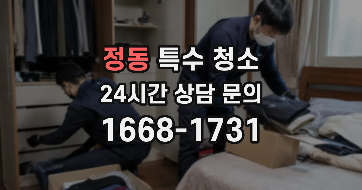 정동 특수 청소