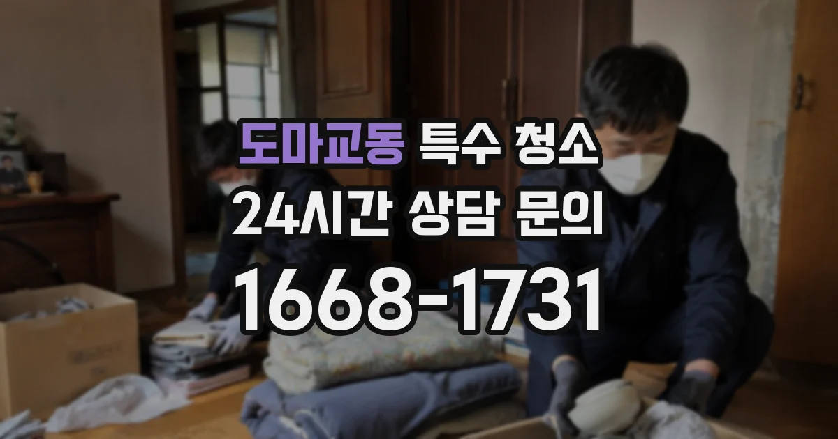 도마교동 특수 청소