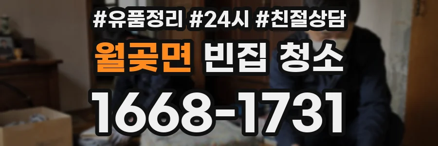 월곶면 빈집 청소